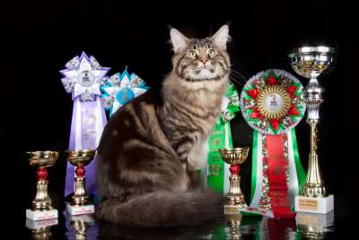 �������� ����� '������� ���-�����' 30 ������-1 ������� 2013�